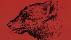 Kan du hitta personen i denna optiska illusion?