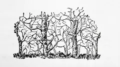 Det första djuret du ser på bilden avslöjar din sanna personlighet.