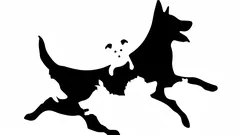 Hur många hundar ser du på bilden? Ett snabbt test visar din psykologiska ålder.