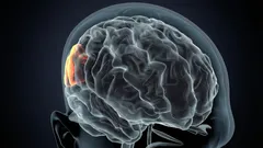 Du måste veta vilka konsekvenser frekvent sömnbrist har på din hjärna.