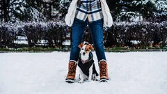 Hur lång promenad är optimal med en valp?